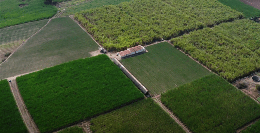 ns-agritech-startup