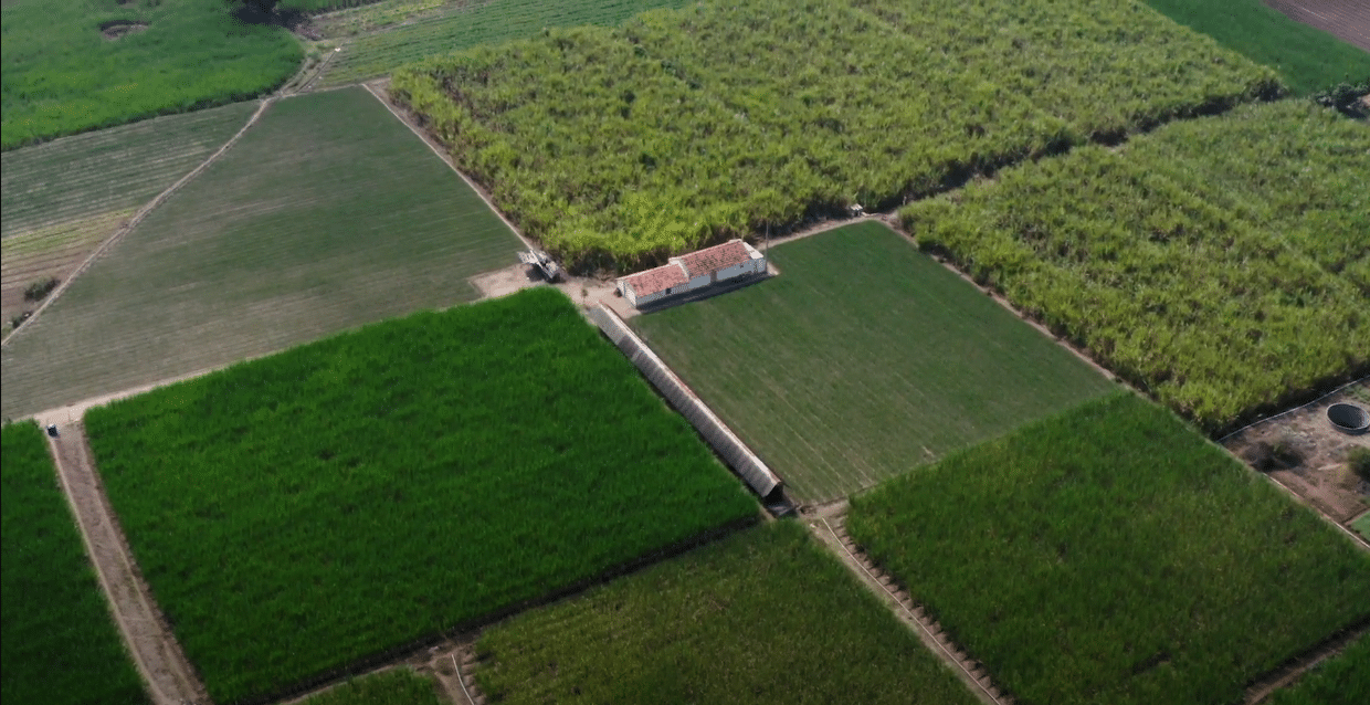 ns-agritech-startup